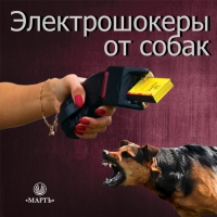 Электрошокеры для женщин и от собак
