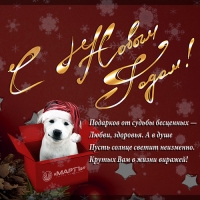 С наступающим Новым Годом и Рождеством!