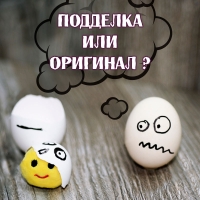 Подделка или оригинал? Как не ошибиться, покупая шокер
