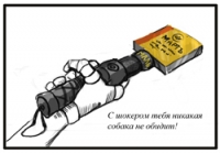 Поможет ли электрошокер защититься от собаки?