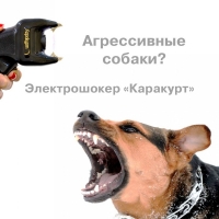Как защититься от собак?
